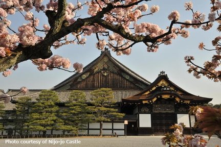 Kyoto Morning Tour (Round Trip from Kyoto)