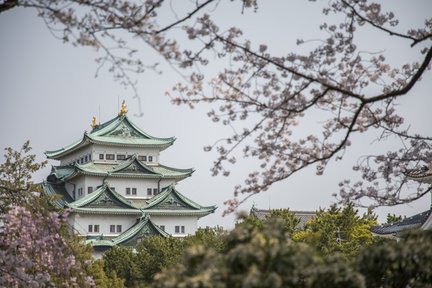 Guided Walk through Nagoya's Castle, Gardens, and Historic Estates