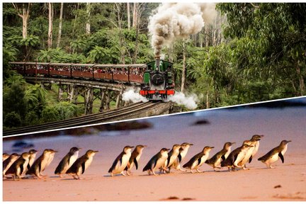 Lawatan Sehari Puffing Billy & Penguin Parade dari Melbourne