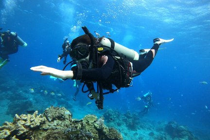 Trải Nghiệm Lặn tại Bờ Biển Lục Đảo (Green Island) (Cần Có Chứng Chỉ)