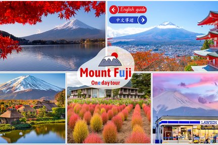 Mount Fuji Magnificent Day Tour from Tokyo