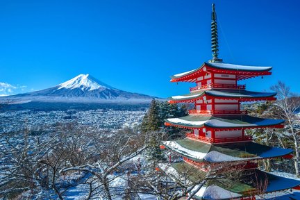 Mt. Fuji Private Customizable One Day Tour from Tokyo