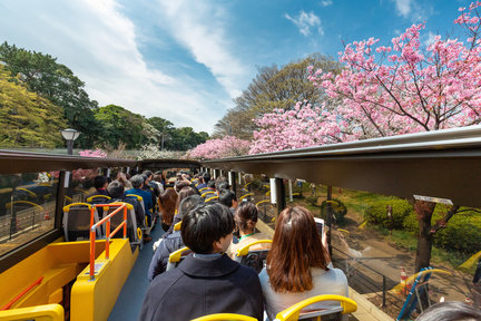 Tokio-Stadt, Sightseeing-Tour im offenen Bus