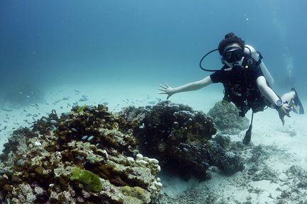 普吉岛 PADI 五星潜水中心简单潜水体验