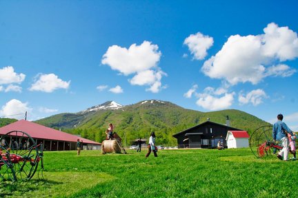 [Hokkaido | Noboribetsu Lake Toya Niseko One-Day Tour] Little Fuji Yotei & Takahashi Ranch & Lake Toya & Noboribetsu Hell Valley & Bear Ranch & Kyogoku Famous Water Park & Winter Lake Shikotsu Ice Wave Festival One-day Tour ｜Departure from Sapporo