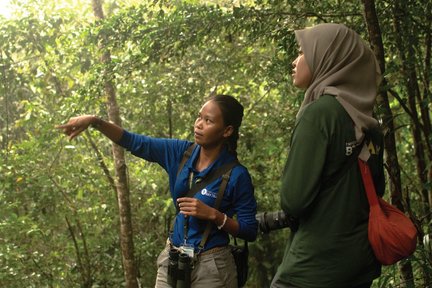 Trải Nghiệm Đi Cáp Treo và Đi Bộ Đường Dài Langkawi SkyTrail