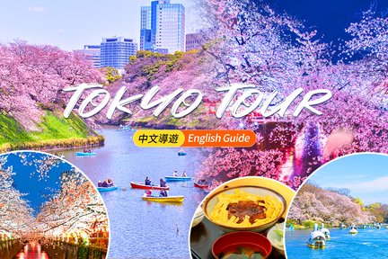 Eksklusif Musim Sakura - Sakura Malam Hari・Tur Melihat Sakura Tokyo｜Berangkat dari Shinjuku/Ueno