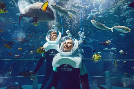 아부다비 씨월드 입장권