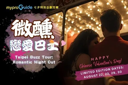 台北夜游微醺双层巴士