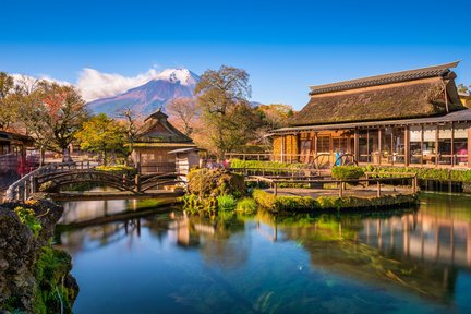 Lawatan Tersuai Peribadi Sehari ke Mt. Fuji dari Tokyo