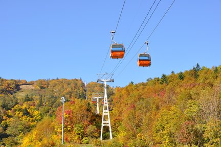Hoheikyo Electric Bus & Sapporo Kokusai Ski Resort Koyo Gondola Round Trip Ticket