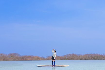 제주 돌문화공원 입장권