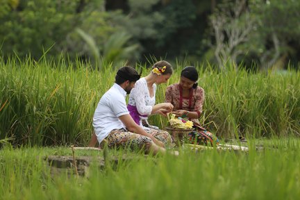 Trải Nghiệm Văn Hóa tại Plataran Ubud: Ăn, Cầu Nguyện, Yêu và Ban Phước Lành Melukat