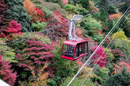 Mt. Rokko View & Arima Onsen Town & Premium Outlets 1Day Bus Tour