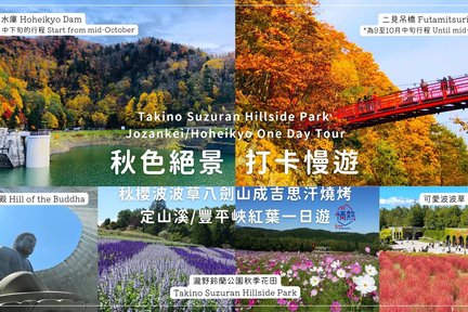 Takino Suzuran Hillside Park & Jozankei/Hoheikyo One Day Tour