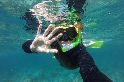 Manly Snorkel Tour with Guided Walking Tour