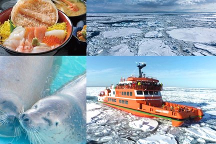 One-day trip to Hokkaido｜Take the new icebreaker GARINKO GO Ⅲ, enjoy the magnificent landscape of the ice and snow world, and experience a fantastic ice and snow trip｜Depart from Sapporo