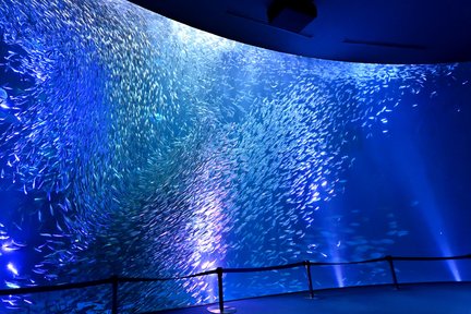 Port of Nagoya Public Aquarium