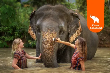 普吉岛大象丛林保护区（Elephant Jungle Sanctuary Phuket）体验