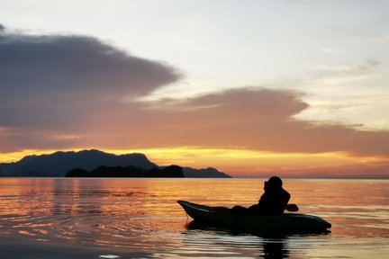 ทัวร์พายเรือคายัคที่ป่าชายเลนในลังกาวี (ช่วงกลางวันหรือช่วงพระอาทิตย์ตก)