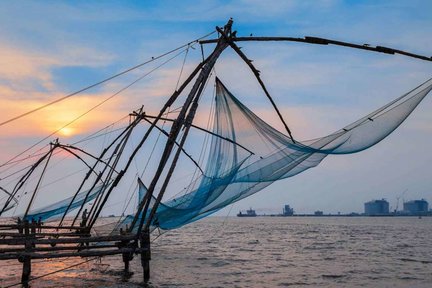 Full Day Kochi Tour - India (From Kochi Cruise Terminal) 