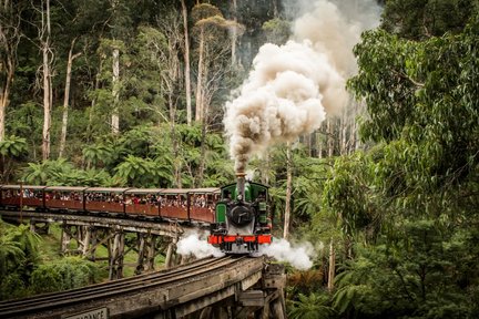 บัตรโดยสารรถไฟไอน้ำ Puffing Billy หรือทัวร์รถบัส