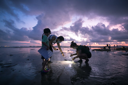 Experiential Intertidal Exploration oleh The Untamed Paths