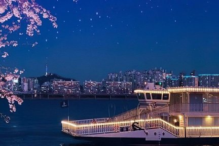 Crucero nocturno guiado por el río Han en Seúl y picnic en el parque Hangang