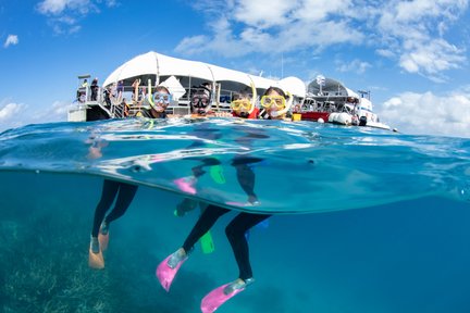 Trải Nghiệm Thuyền Đáy Bằng Rạn San Hô Great Barrier Reef với Lặn Ống Thở từ Cairns