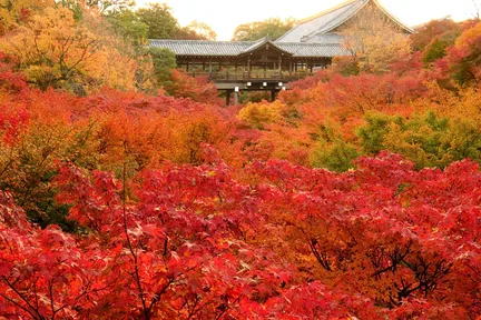 京都东福寺、胜林寺、新善光寺御朱印巡礼之旅