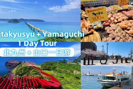 Kyushu｜Mojiko Port, Karato Market, Tsunoshima Bridge, and Motonosumi Shrine Day Tour (Depart from Fukuoka)