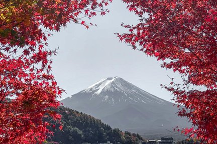 Mount Fuji & Owakudani One-day Customizable & Private Tour