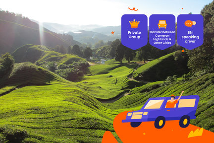 Cameron Highlands Private Transfer to and from Kuala Lumpur, Ipoh and more