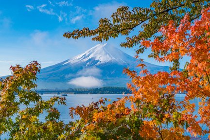 Tour Ngày Núi Phú Sĩ từ Tokyo với Lựa Chọn Ăn Trưa