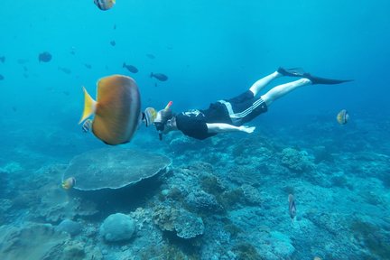 Expérience de plongée en apnée à Nusa Penida