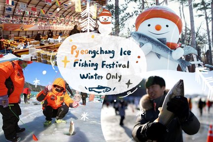 Pyeongchang Trout Festival Ice Fishing Exp. (Tent+Chairs+Equipment)