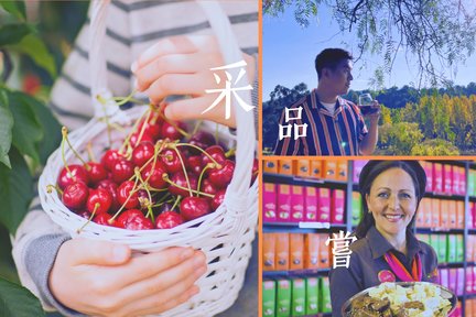 Melbourne Cherry Season Day Tour with Chinese Speaking Guide