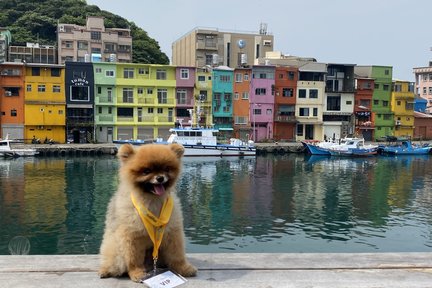 Northeast Coast Instagram Tour di New Taipei