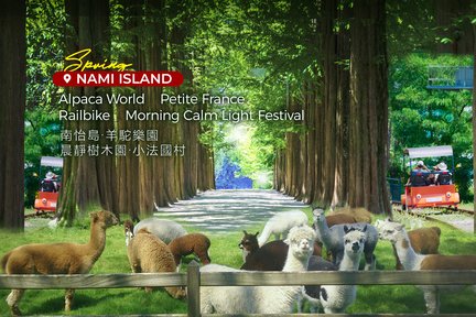 Nami& Alpaca& Petite France& Railbike& Morning Calm& Light Festival