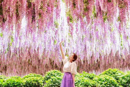 京畿道海棠鳥園門票