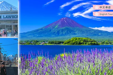 【富士山网红打卡】新仓山公园&日川时计店&麦当劳打卡&罗森便利店&河口湖大石公园&忍野八海一日游（东京出发）