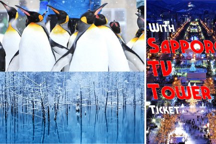 Winter Asahiyama Zoo, Light up blue pond Day Trip & TV tower ticket