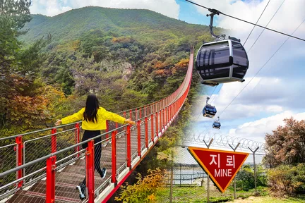 DMZ 非军事区＆缆车／吊桥之旅（首尔出发）