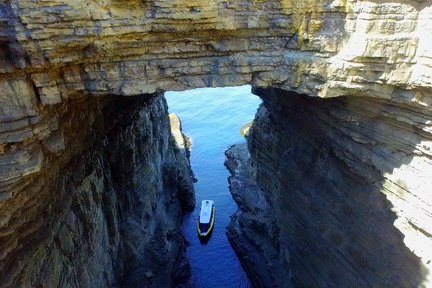 Bruny Island Wilderness Cruise dari Hobart (3 Jam)