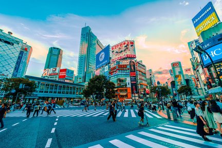 HYPERTOKYO: Shinjuku and Shibuya Half Day Walking Tour