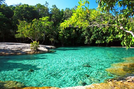 Tiger Cave and Emerald Pool Jungle Tour by TTD Global (from Krabi)