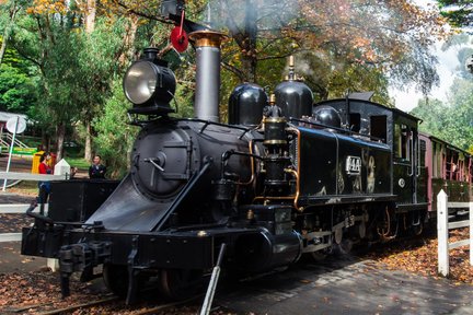 Tour Ngày Tàu Puffing Billy và Khám Phá Động Vật Hoang Dã ở Đảo Phillip từ Melbourne