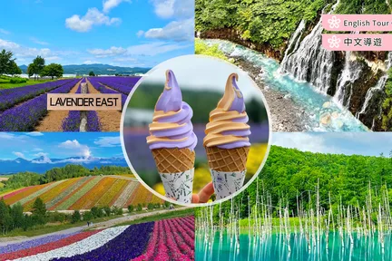 北海道网红打卡 - 拼布之路七星树&四季彩之丘&青池&白须瀑布 一日游(札幌出发)