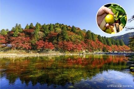 Korankei and Obara Shikizakura Autumn views Bus Tour from Nagoya