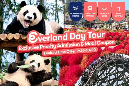 Vé Everland với Xe Đưa Đón và Coupon Bữa Ăn